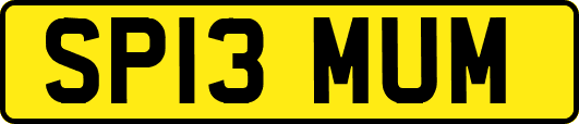 SP13MUM