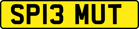 SP13MUT