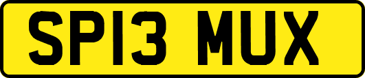 SP13MUX