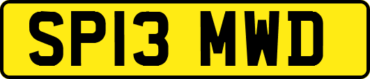 SP13MWD