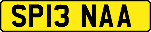 SP13NAA