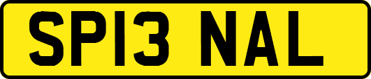 SP13NAL