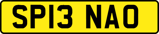 SP13NAO