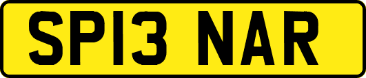 SP13NAR