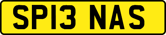 SP13NAS