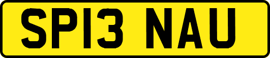 SP13NAU