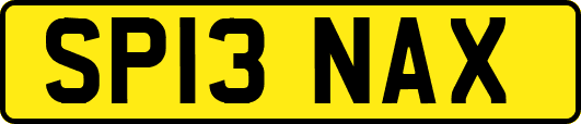 SP13NAX