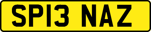 SP13NAZ