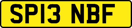 SP13NBF