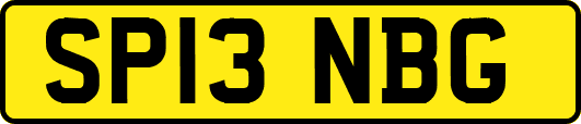 SP13NBG