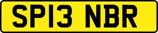 SP13NBR