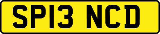 SP13NCD