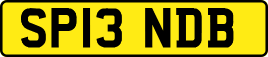 SP13NDB