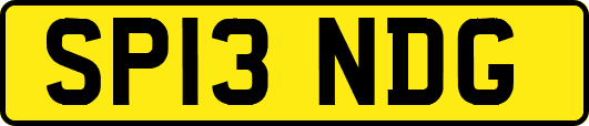 SP13NDG