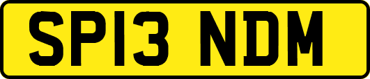 SP13NDM