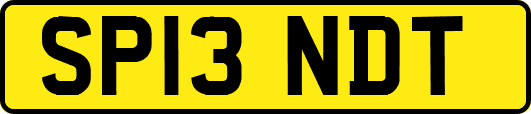 SP13NDT