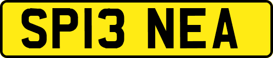 SP13NEA