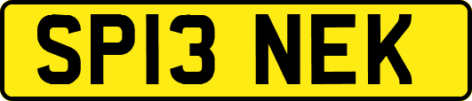 SP13NEK