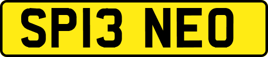 SP13NEO