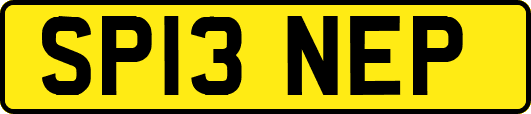 SP13NEP