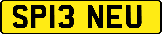 SP13NEU