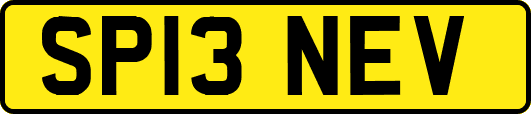 SP13NEV