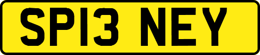 SP13NEY