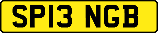 SP13NGB