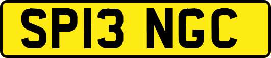 SP13NGC