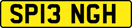 SP13NGH