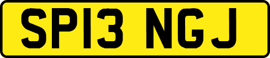 SP13NGJ