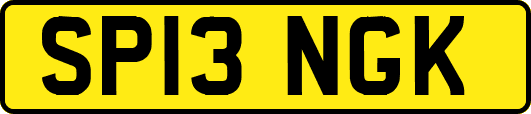 SP13NGK