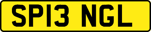 SP13NGL