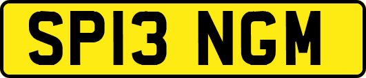 SP13NGM