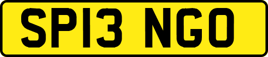 SP13NGO