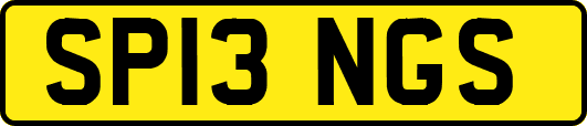 SP13NGS