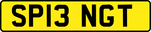 SP13NGT