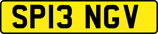 SP13NGV