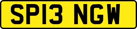 SP13NGW