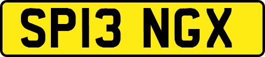 SP13NGX