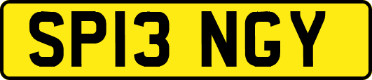 SP13NGY