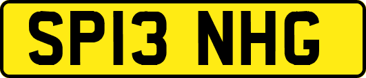 SP13NHG