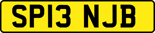 SP13NJB