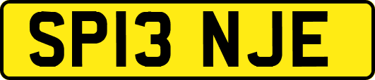 SP13NJE