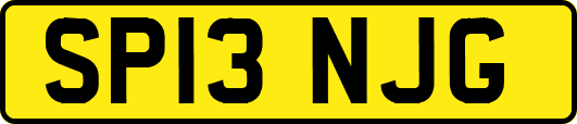 SP13NJG
