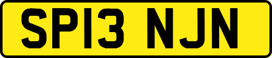 SP13NJN