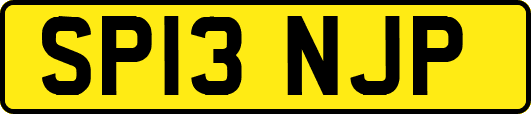 SP13NJP