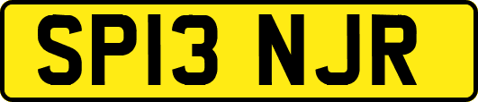 SP13NJR