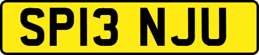 SP13NJU
