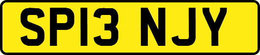 SP13NJY